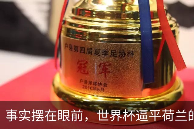 事实摆在眼前，世界杯逼平荷兰的日本男足，早已走出一条独属于自己的发展道路
